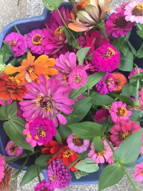 Next best thing to a vegetable&nbsp;garden