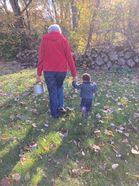 A beginners peek into&nbsp;blogging