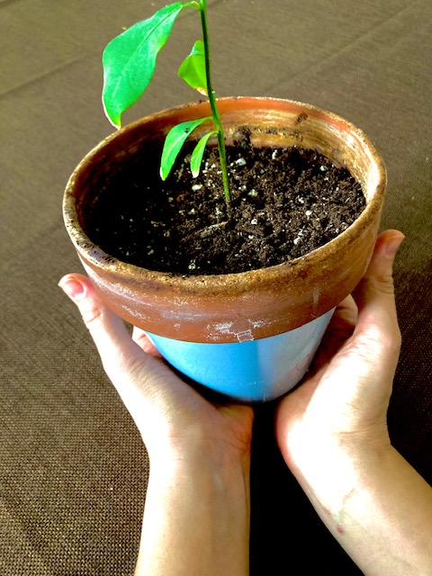 Find your parental&nbsp;tagline