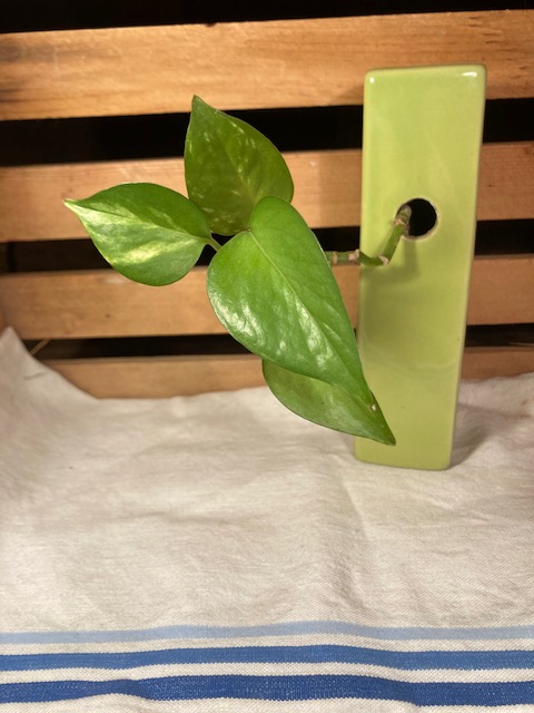 A letter on the little&nbsp;things