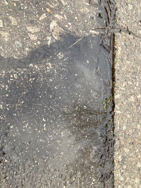 Water and the&nbsp;Almighty