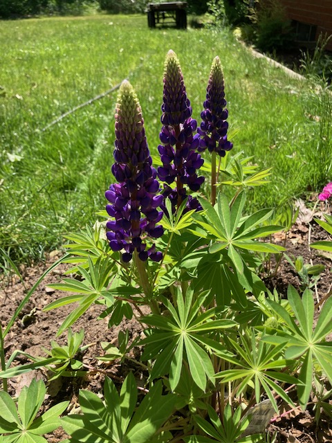 Sing your child’s&nbsp;song