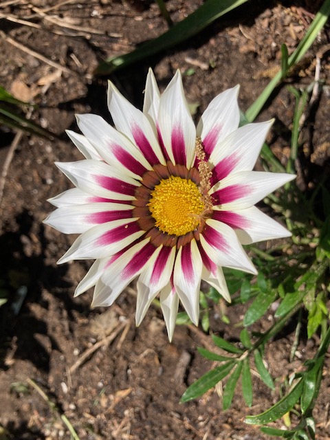 Using storytelling to direct and&nbsp;discipline