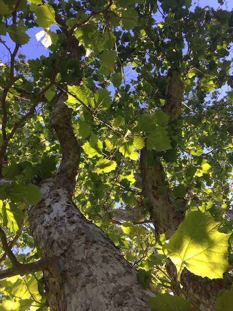 Giving to and receiving from the&nbsp;homeless